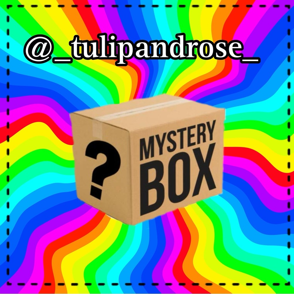 Mystery Box - 6 Women’s Items Gently used in excellent or great condition